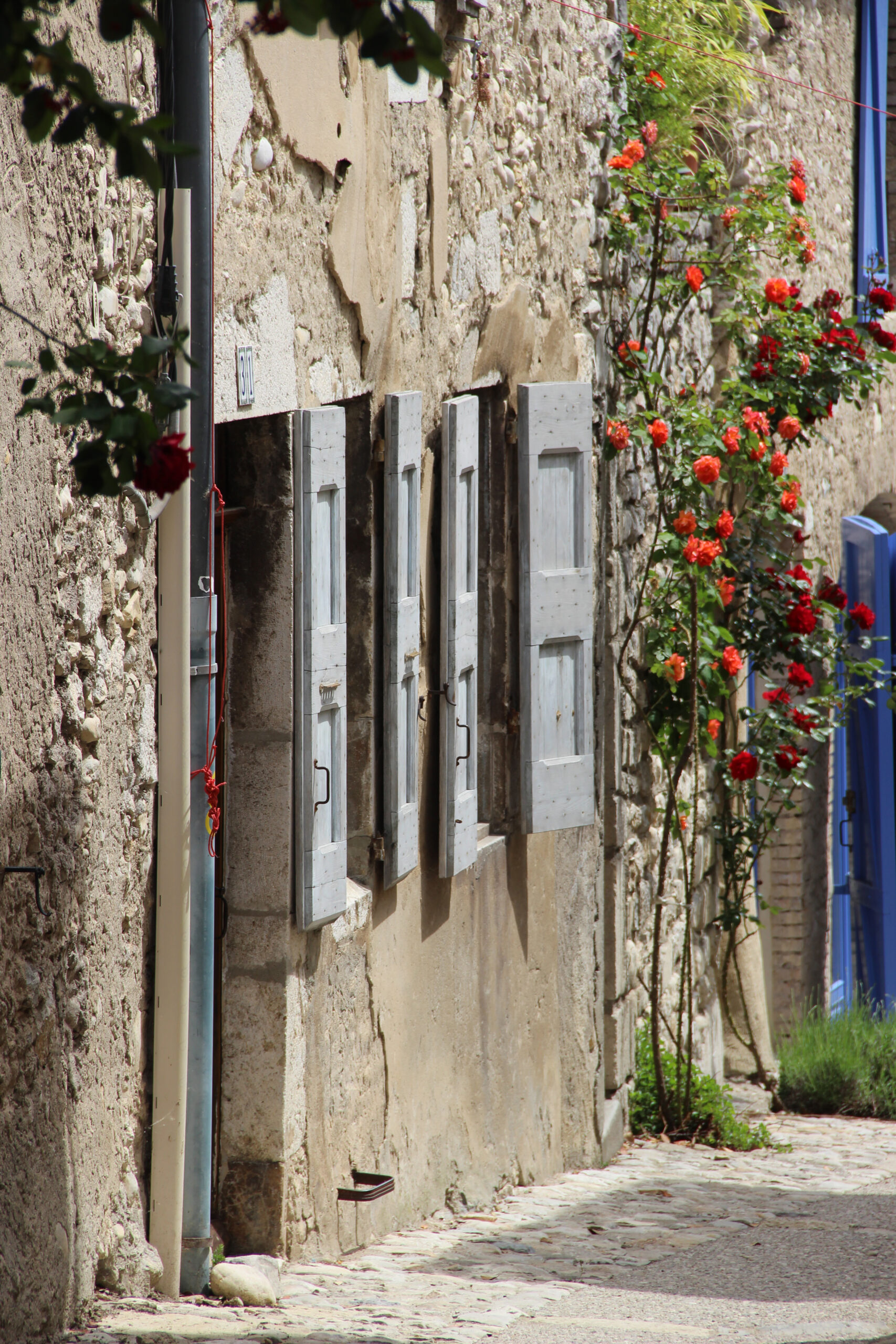 L'agence Little Z à Die